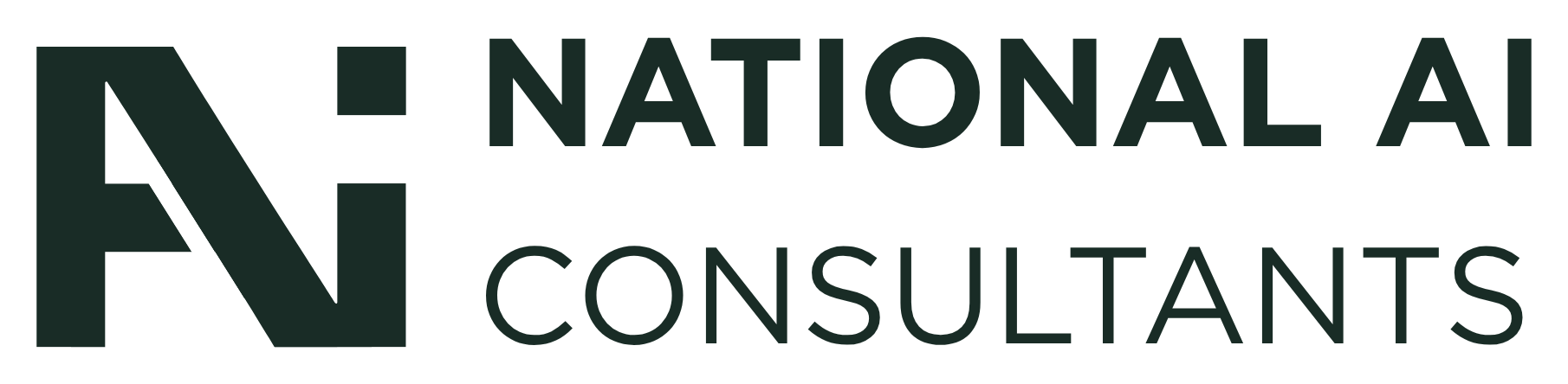 National AI Consultants